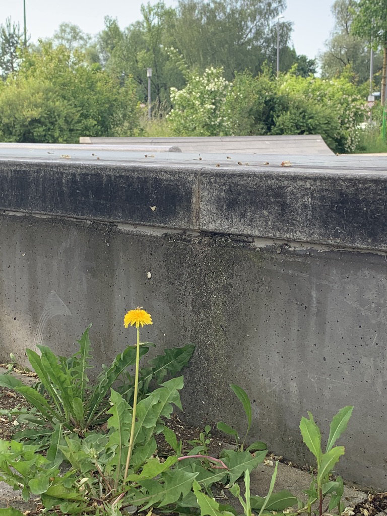 3A723D6F-D14B-4C6B-ABA2-F1F0702C4FA5_1_105_c